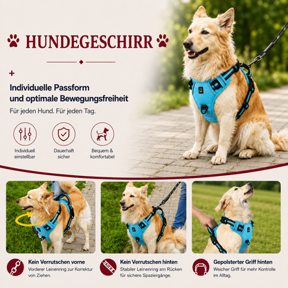 Anti-Zug-Hundegeschirr – gepolstertes Hundegeschirr mit Kontrollgriff