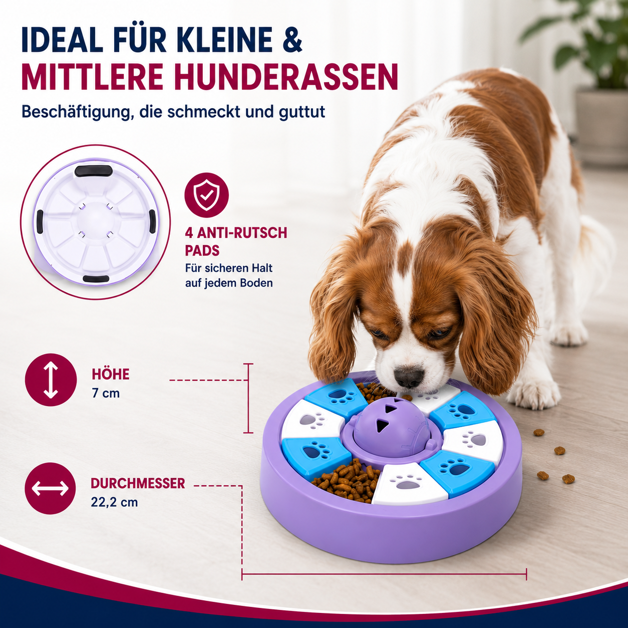 Interaktiver Anti-Schling-Napf – gesund essen, aktiv bleiben