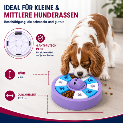 Interaktiver Anti-Schling-Napf – gesund essen, aktiv bleiben