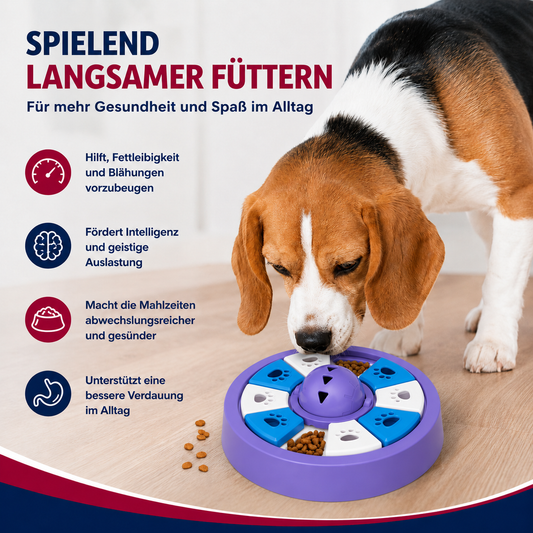 Interaktiver Anti-Schling-Napf – gesund essen, aktiv bleiben