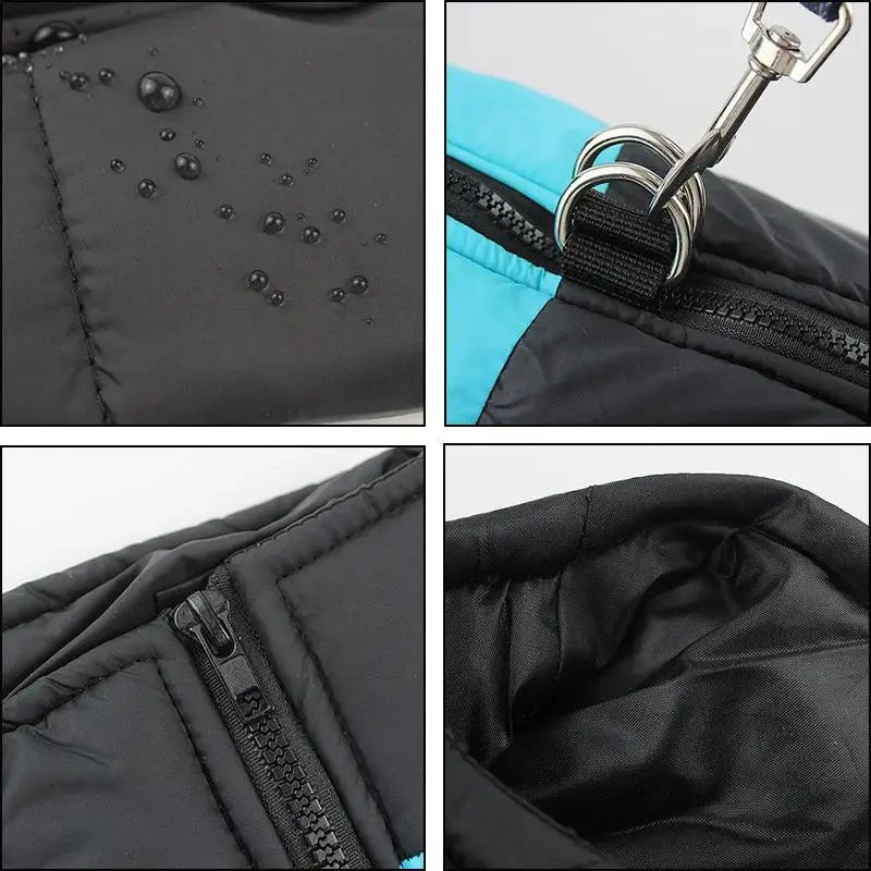 Detailansichten einer schwarzen Hundewinterjacke mit wasserabweisendem Material, D-Ringen zur Leinenbefestigung, Reißverschluss und weich gefüttertem Innenbereich.