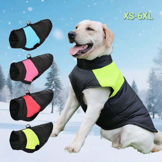 Schwarze, wattierte Winterjacke für Hunde mit farbigen Einsätzen, Größen XS bis 6XL, geeignet für kalte Wintertage.