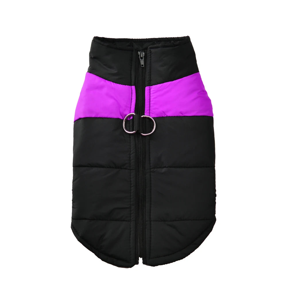 Schwarze, wattierte Winterjacke für Hunde mit farbigen Einsätzen.