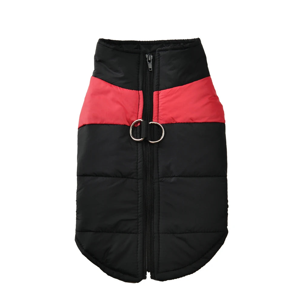 Schwarze, wattierte Winterjacke für Hunde mit farbigen Einsätzen.