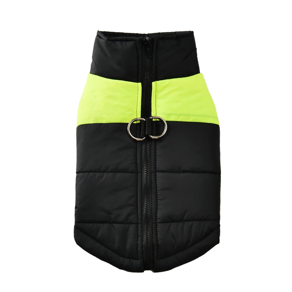 Schwarze, wattierte Winterjacke für Hunde mit farbigen Einsätzen.