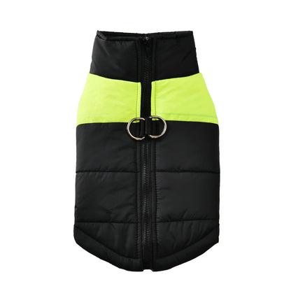 Schwarze, wattierte Winterjacke für Hunde mit farbigen Einsätzen.