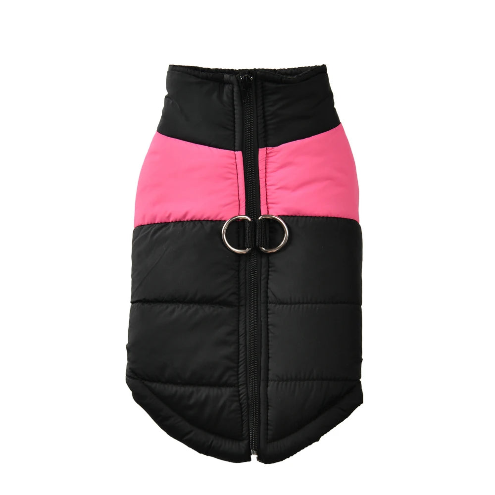 Schwarze, wattierte Winterjacke für Hunde mit farbigen Einsätzen.