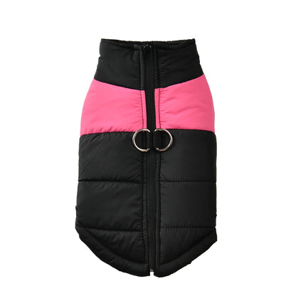 Schwarze, wattierte Winterjacke für Hunde mit farbigen Einsätzen.