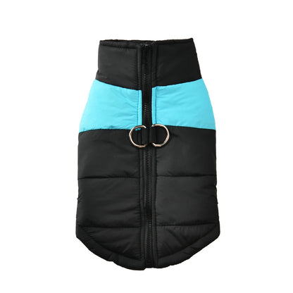 Schwarze, wattierte Winterjacke für Hunde mit farbigen Einsätzen.